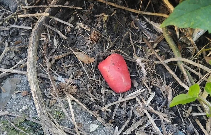 Саратовца поймали на попытке сбыть крупную партию мефедрона 